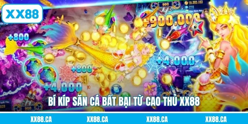 Bí kíp săn cá bất bại từ cao thủ XX88