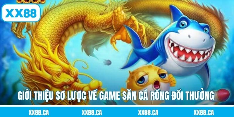 Giới thiệu sơ lược về game săn cá rồng đổi thưởng 
