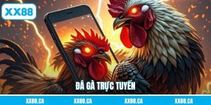 Đá Gà Trực Tuyến