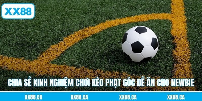 Chia sẻ kinh nghiệm chơi kèo phạt góc dễ ăn cho newbie