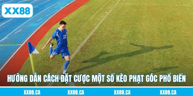 Hướng dẫn cách đặt cược một số kèo phạt góc phổ biến