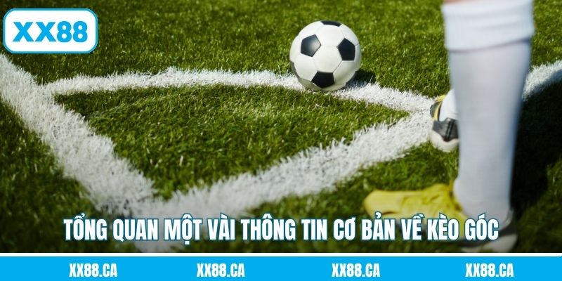 Tổng quan một vài thông tin cơ bản về kèo góc