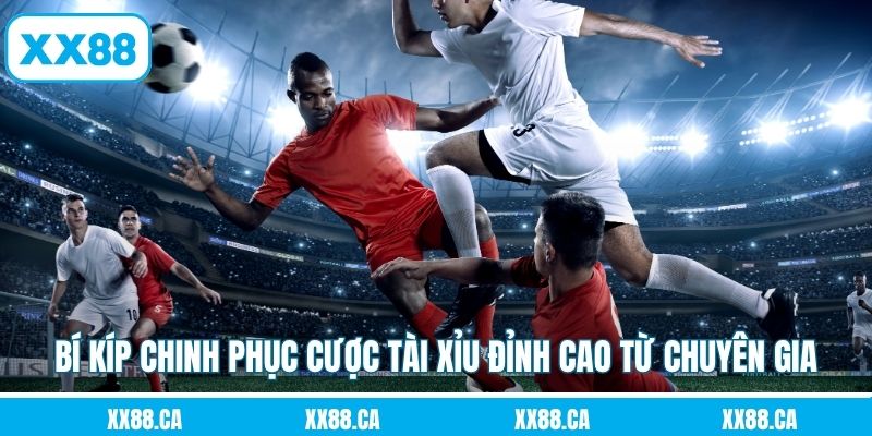 Bí kíp chinh phục cược tài xỉu đỉnh cao từ chuyên gia