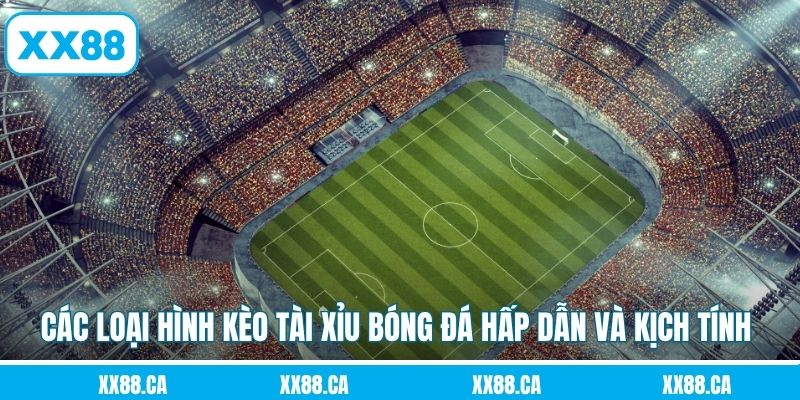 Các loại hình kèo tài xỉu bóng đá hấp dẫn và kịch tính nhất