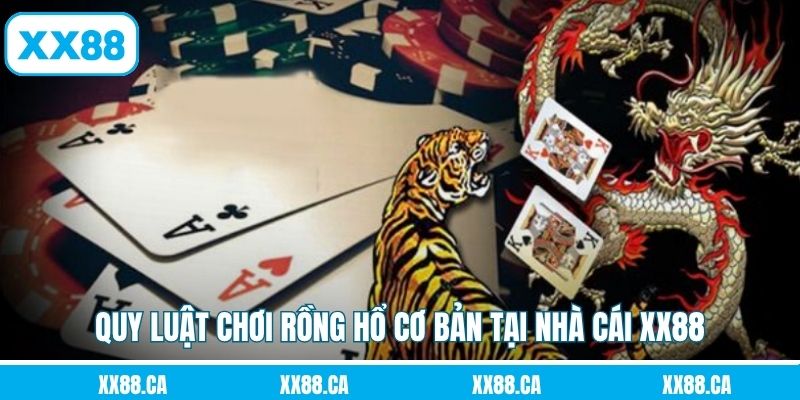 Quy luật chơi rồng hổ cơ bản tại nhà cái XX88