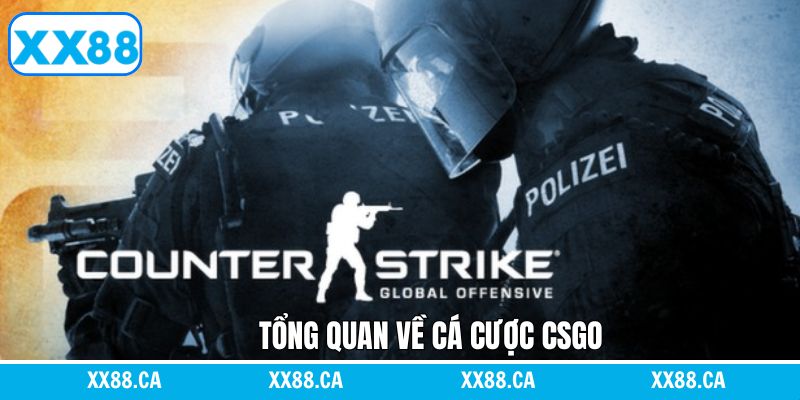 Tổng quan khi chơi CSGO
