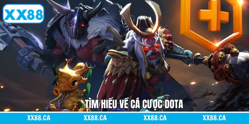 Khái quát sơ lược khi tham gia Dota