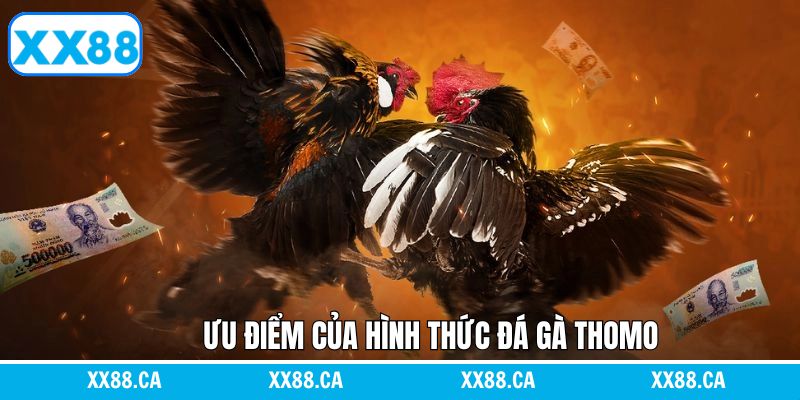 XX88 cập nhật lịch đá gà nhanh chóng, chính xác