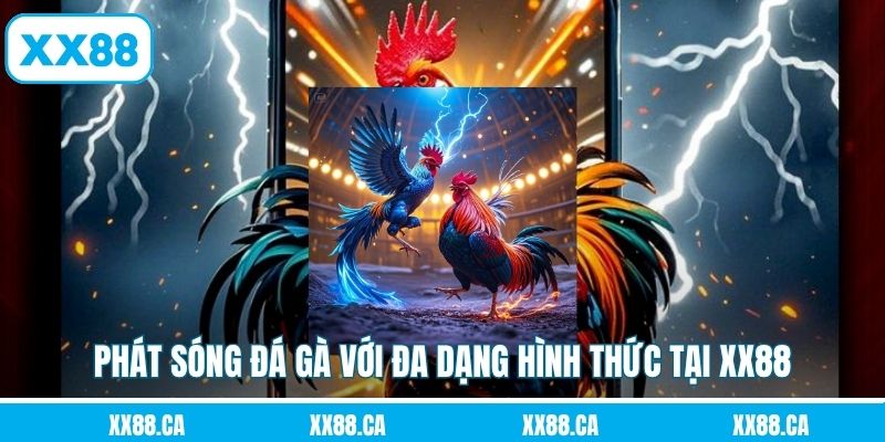 Phát sóng đá gà với đa dạng hình thức tại XX88